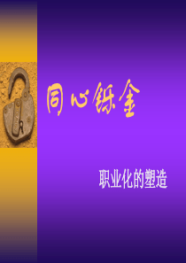 员工的职业化塑造（PPT56页）