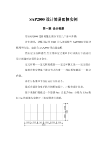 01SAP2000设计简易雨棚