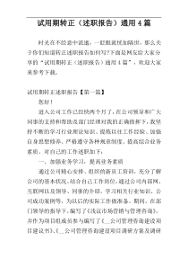 试用期转正（述职报告）通用4篇