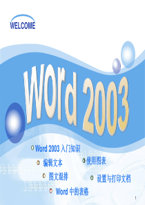 员工计算机基础知识普及教程-3word2003