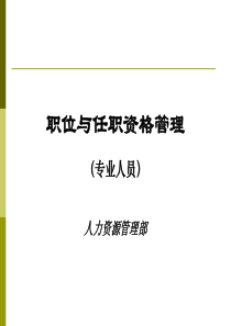 国内名企职业与任职资格管理