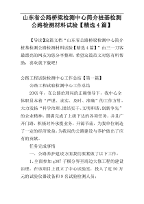 山东省公路桥梁检测中心简介桩基检测公路检测材料试验【精选4篇】