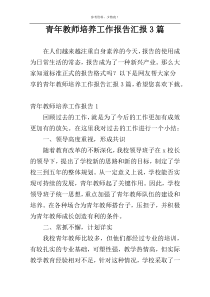 青年教师培养工作报告汇报3篇