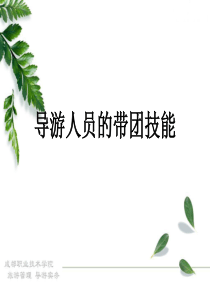 导游人员带团技能