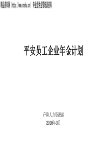 平安员工企业年金计划（PPT49页）