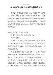 销售动员会议上的领导讲话稿3篇