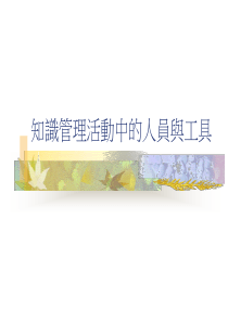 知识管理活动中的人员与工具（PPT 18页）