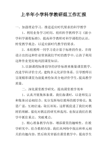 上半年小学科学教研组工作汇报