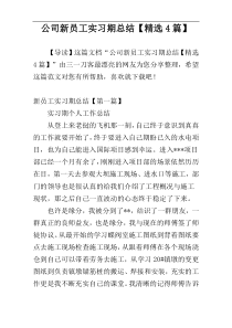 公司新员工实习期总结【精选4篇】