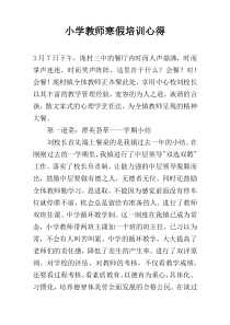 小学教师寒假培训心得