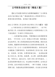 公司财务总结计划（精选5篇）