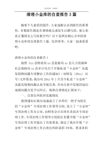 清理小金库的自查报告3篇