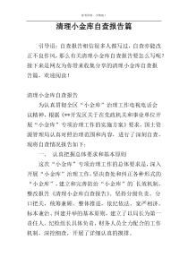 清理小金库自查报告篇