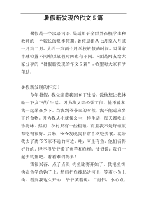 暑假新发现的作文5篇