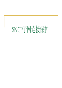 SNCP子网连接保护专题