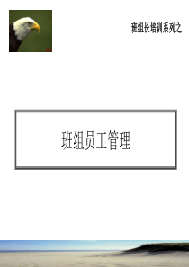 班组员工管理（PPT36页)