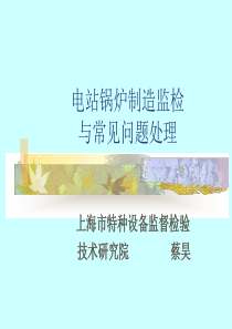 电站锅炉检验人员上课讲义-蔡昊