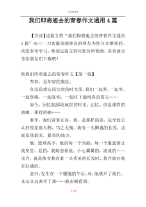 我们即将逝去的青春作文通用4篇