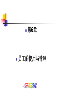 第6章员工的使用与管理