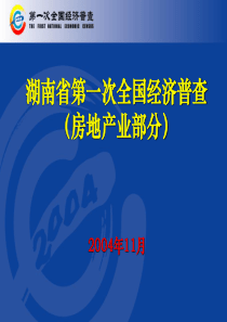 湖南省第一次全国经济普查房地产业部分