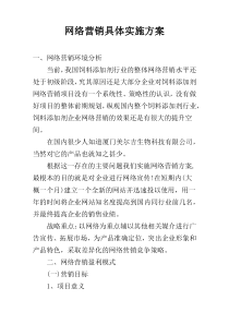 网络营销具体实施方案