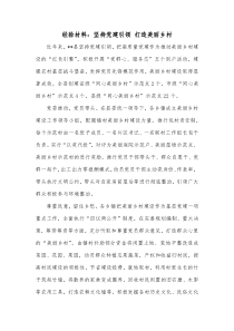 经验材料坚持党建引领打造美丽乡村