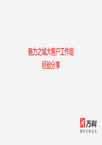 万科大客户拓展及管理（PDF37页）