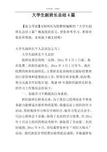 大学生副班长总结4篇