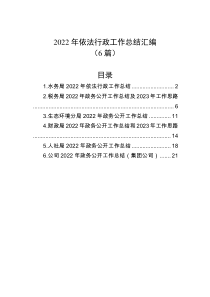 6篇2022年依法行政工作总结汇编