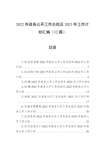 12篇2022年政务公开工作总结及2023年工作计划汇编