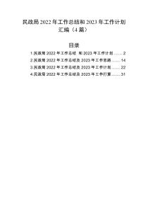 4篇民政局2022年工作总结和2023年工作计划汇编