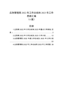 4篇应急管理局2022年工作总结和2023年工作思路汇编