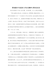 贯彻落实中央经济工作会议精神心得体会发言