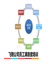 飞翔员工满意度