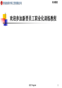 青岛恒泽宇新晋员工职业化训练教程1