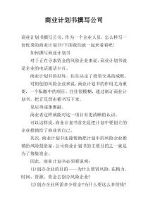 商业计划书撰写公司