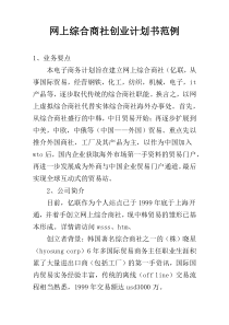 网上综合商社创业计划书范例