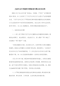 文旅行业专项教育问题检视专题会发言材料