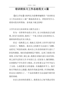 培训班实习工作总结范文4篇