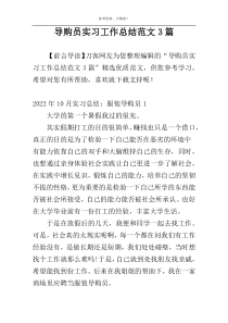 导购员实习工作总结范文3篇