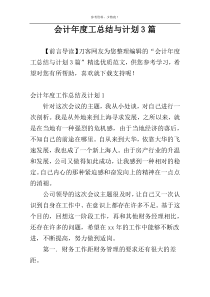 会计年度工总结与计划3篇