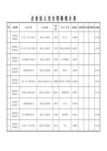 企业法人安全资格统计表