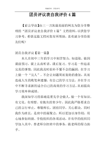 团员评议表自我评价4篇