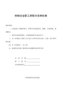 转制企业职工辞职分流审批表