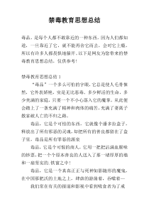 禁毒教育思想总结