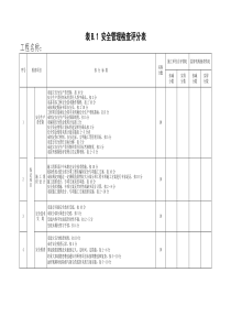 安全检查评分表附表