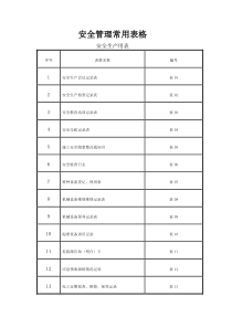 安全管理常用表