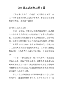 公司员工试用期总结5篇