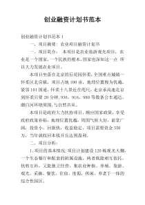 创业融资计划书范本