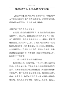 镇民政个人工作总结范文3篇